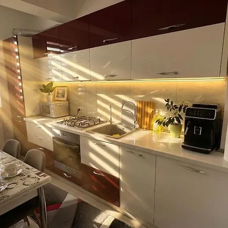 Princess Cozy Casy Apartament Timişoara